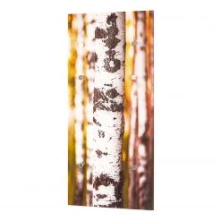 Mooved Porte-manteaux mural Nedlands - Plexiglas / Acier - Blanc / Argenté