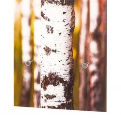 Mooved Porte-manteaux mural Nedlands - Plexiglas / Acier - Blanc / Argenté -Vestiaires Soldes 1000153446 190123 15192300042 GALLERYIMAGES P000000001000153446