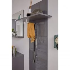 Trendteam Porte-manteaux mural Amanda II - Gris brillant -Vestiaires Soldes 1000223501 200828 06181600060 DETAILS P000000001000223501