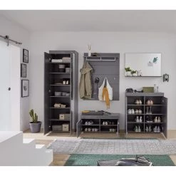 Trendteam Porte-manteaux mural Amanda I - Gris brillant -Vestiaires Soldes 1000223502 200828 06182100065 MOOD DETAILS P000000001000223502 mood